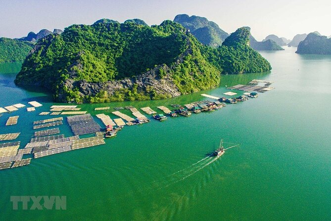 Cat Ba Cruise 2 Days 1 Night - Should You Book This Cat Ba Cruise for Your Vietnam Plan?