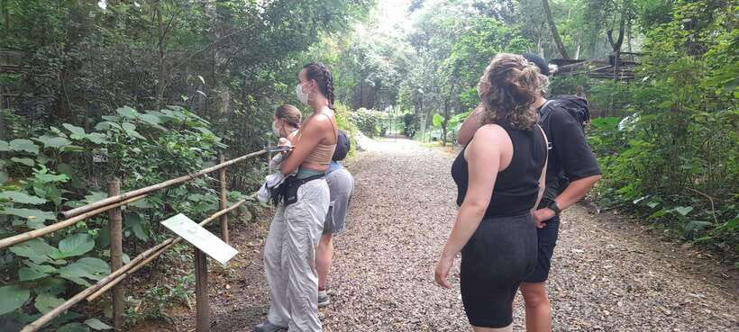 Cuc Phuong National Park Hiking Tour - Key highlights you will actually use