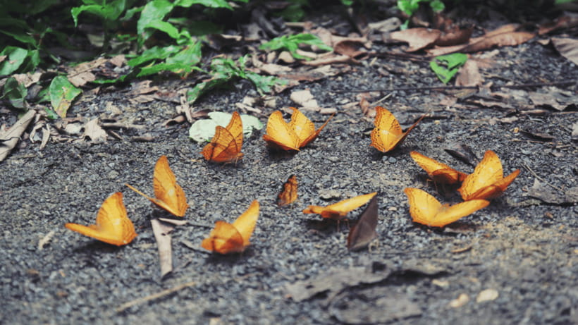 Cuc Phuong National Park Hiking Tour - The Cave of Prehistoric Man: short hike, real effort, strong payoff