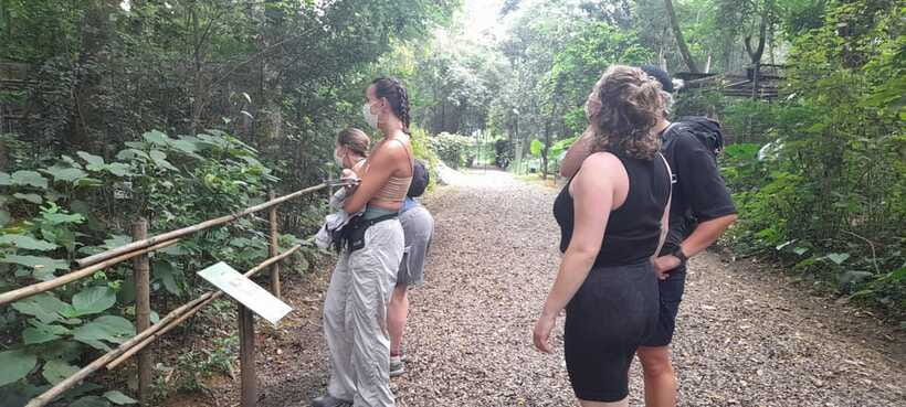 Cuc Phuong National Park Hiking Tour - Who this tour fits best, and who should skip it
