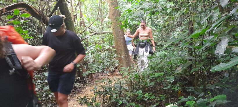 Cuc Phuong National Park Hiking Tour - Visitor Center first: learn the 1962 why before the trails