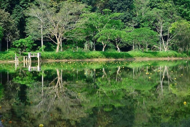 Cuc Phuong National Park Private Day Tour: Trekking & Primates - Why Cúc Phương Feels Worth the Long Hanoi Drive