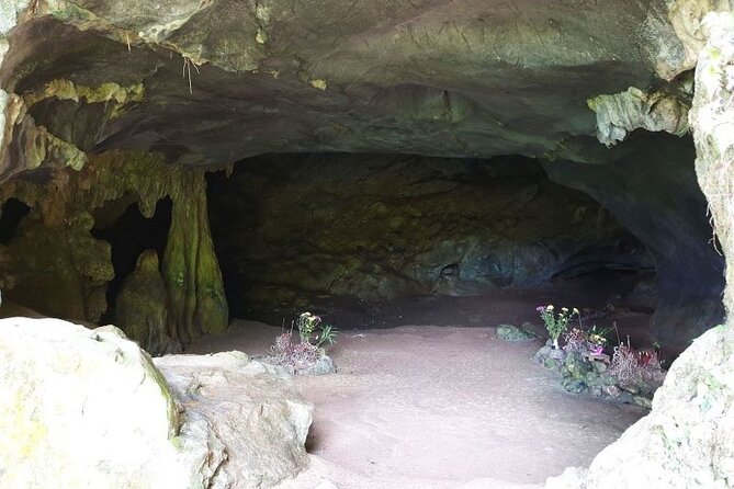 Cuc Phuong National Park Private Day Tour: Trekking & Primates - Động Người Xưa Cave: Prehistoric Finds Inside Limestone