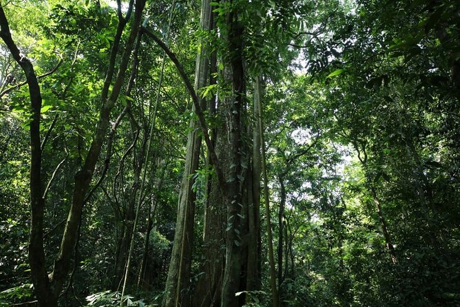 Cuc Phuong National Park Private Day Tour: Trekking & Primates - Price and Value: Is $99 a Fair Deal for This Day?