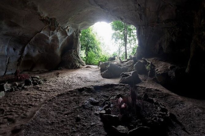 Cuc Phuong National Park Private Day Tour: Trekking & Primates - Who This Tour Fits Best (and Who Might Want a Different Option)