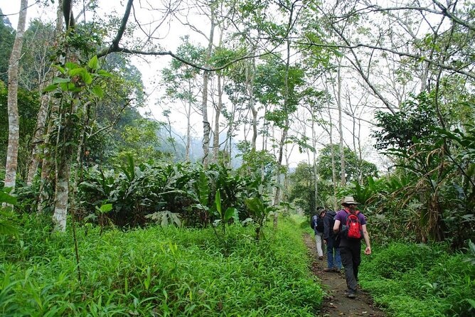 Cuc Phuong National Park Private Day Tour: Trekking & Primates - Endangered Primate Rescue Centre: Conservation That Actually Has a Purpose