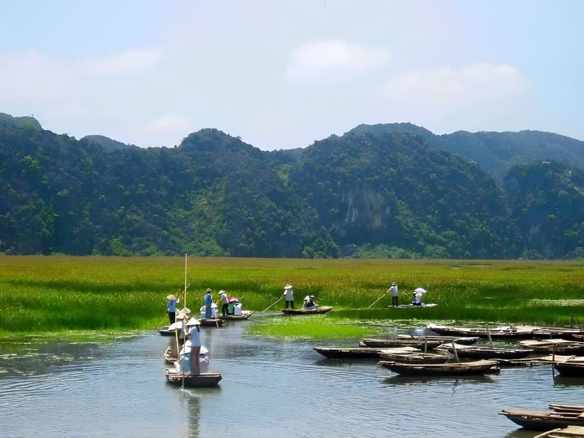CUC PHUONG NATIONAL PARK - VAN LONG DAI LY TOUR DAY TRIP - Key highlights to watch for