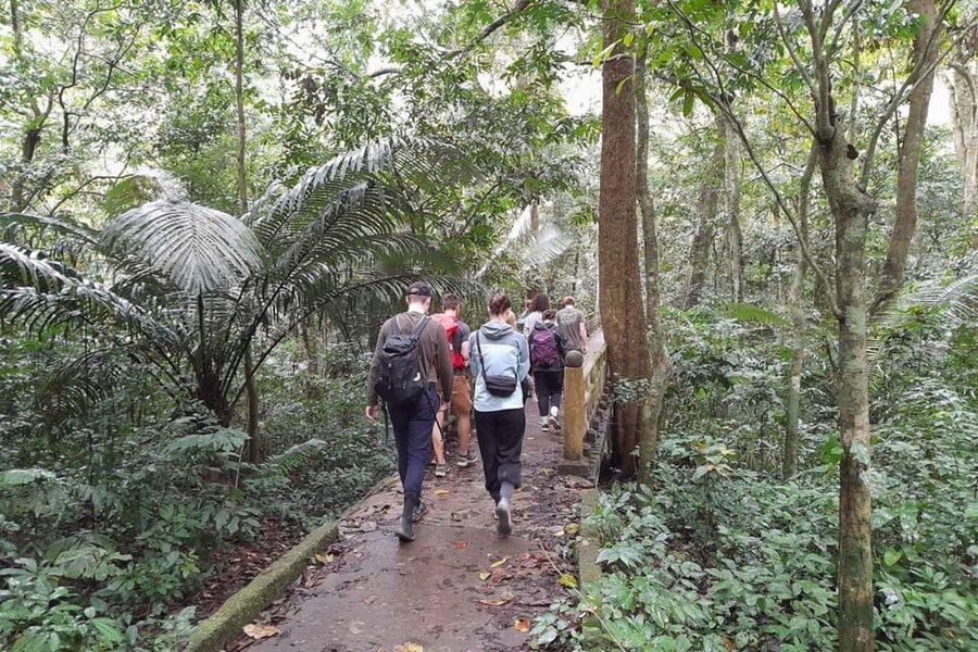 CUC PHUONG NATIONAL PARK - VAN LONG DAI LY TOUR DAY TRIP - Nguoi Xua Cave and the ancient tree area: what you’ll walk, and what to expect
