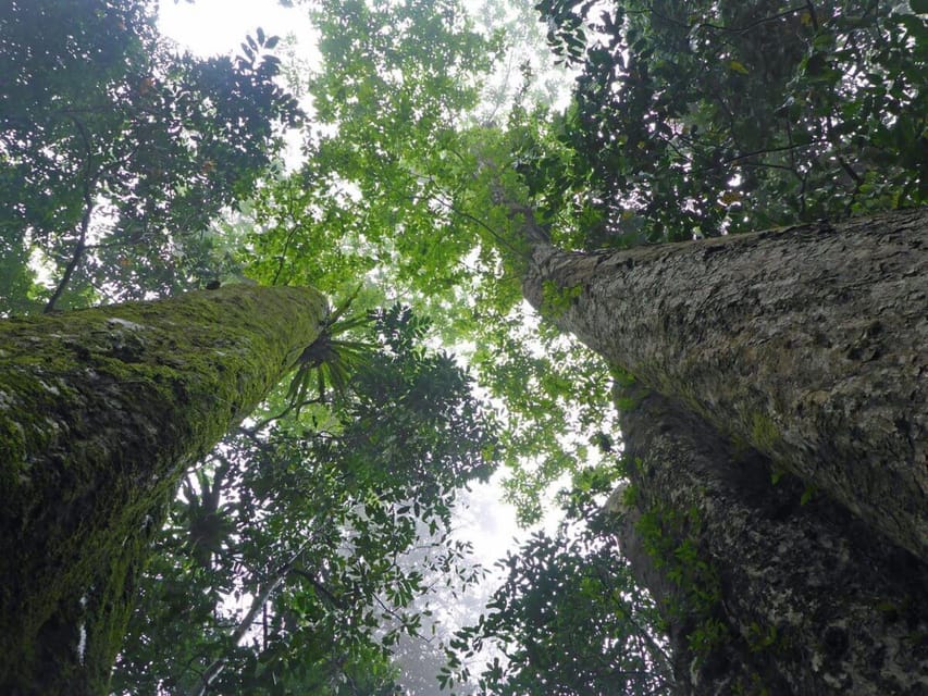 CUC PHUONG NATIONAL PARK - VAN LONG DAI LY TOUR DAY TRIP - Who this tour suits best, and who might want a different plan
