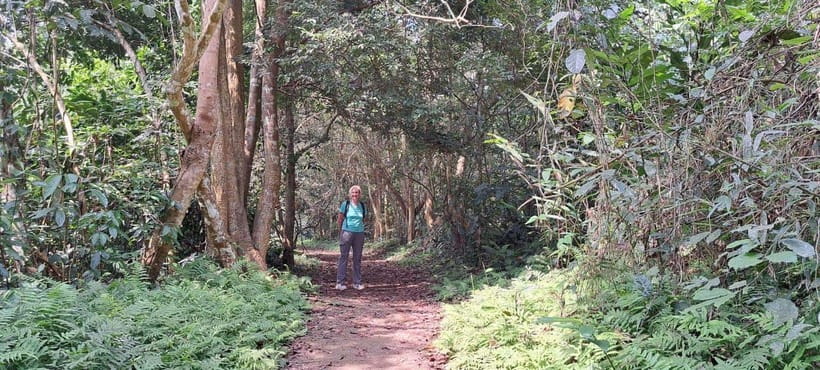 Cuc Phuong National Park - Van Long Day Trip From Hanoi - Key points before you go
