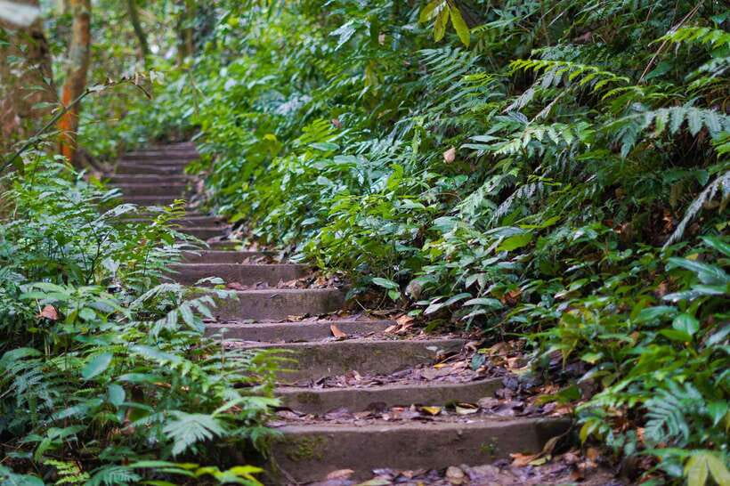Cuc Phuong National Park - Van Long Day Trip From Hanoi - What to bring, comfort tips, and the simple rules