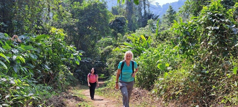 Cuc Phuong National Park - Van Long Day Trip From Hanoi - Pickup from Hanoi and the drive, plan for an early start