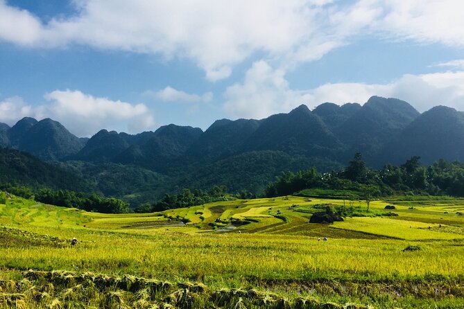 Daily Shuttle Bus Transfer Hanoi to Pu Luong or return - Who This Shuttle Is Best For (and Who Should Skip It)