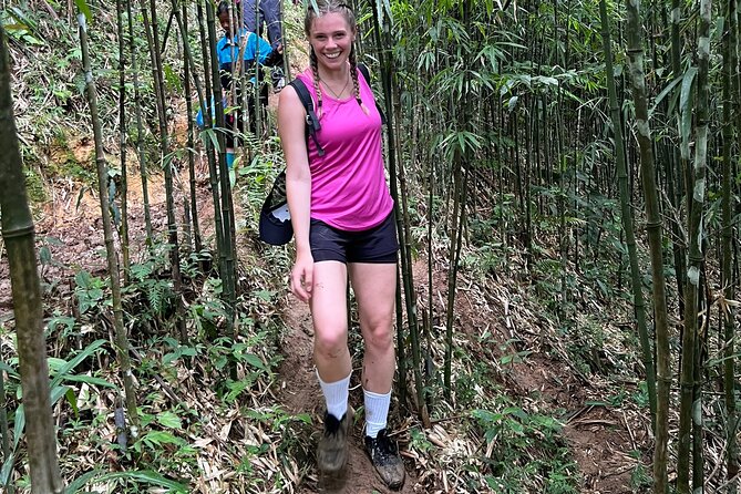 Daily Tour: Sapa Trekking in Muong Hoa valley, Bamboo forest - Giang Ta Chai Return and the Ride Back to Sapa