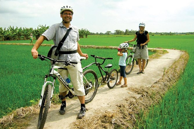 Day tours from Hanoi city (PRIVATE TOUR) - Getting to Ninh Binh from Hanoi without stress