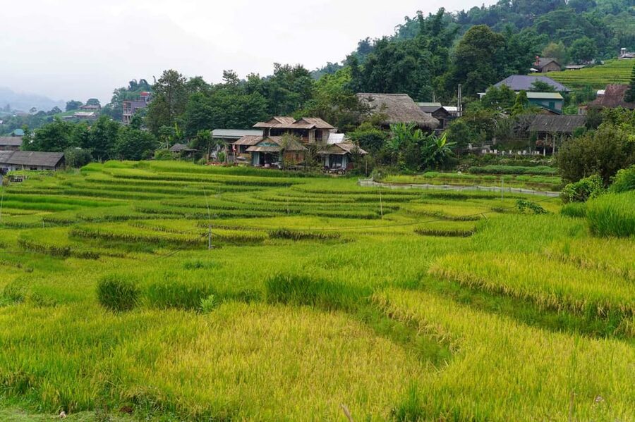 Day Trip to Cat Cat village - Fanxipang Peak/Lunch - Price, what’s included, and the real cost of getting there