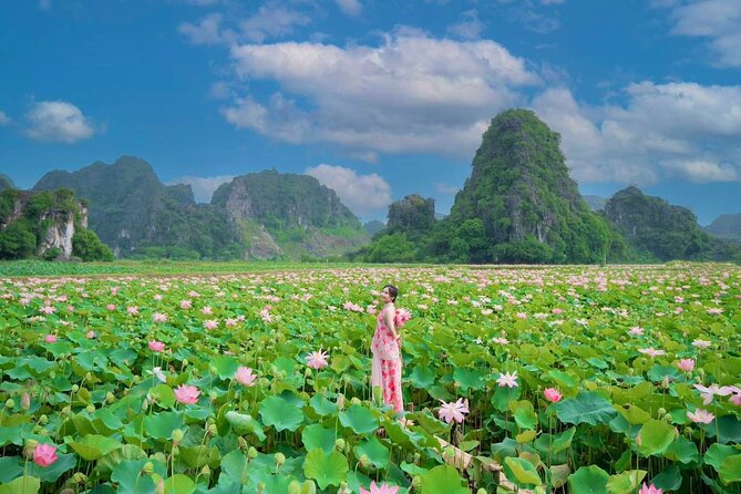 Dcar Day-Tour: Hoa Lu & Trang An & Mua Cave - A Shared VIP Ninh Binh Day with a Max-12 Group