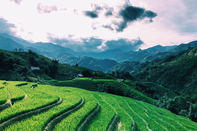 Discover the Beauty of Sa Pa: A One-Day Trek - Stop 3: Ta Van Village, short stop, big atmosphere