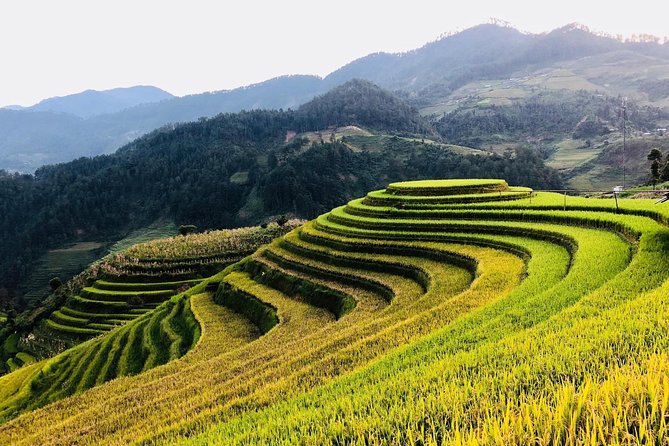 Discover the Beauty of Sa Pa: A One-Day Trek - What the trek feels like in real weather, muddy paths included