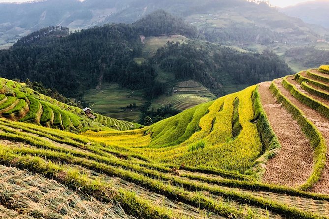 Discover the Beauty of Sa Pa: A One-Day Trek - Logistics that matter: pickup, meeting point, and luggage storage
