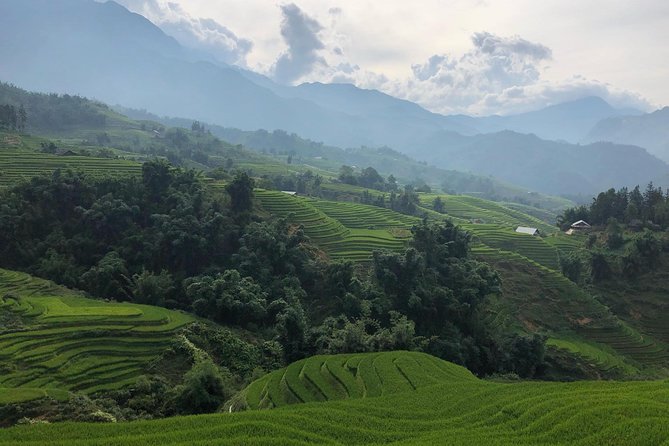 Discover the Beauty of Sa Pa: A One-Day Trek - Stop 1: Y Linh Ho Village and the Black Hmong welcome