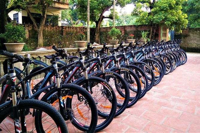 Discover Trang An Natural World Heritage, Bich Dong Pagoda, Cycling Day Tour - Cycling the Tam Coc-area villages and rice fields, with a real local stop