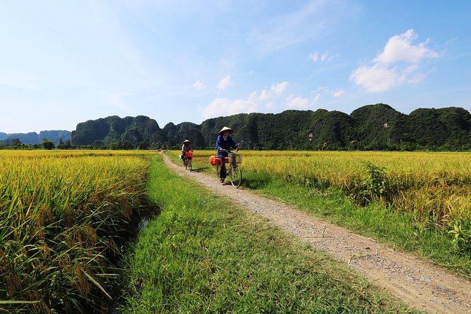 Discover Trang An Natural World Heritage, Bich Dong Pagoda, Cycling Day Tour - Trang An grotto caves on the Sao Khe River: the part you’ll talk about later