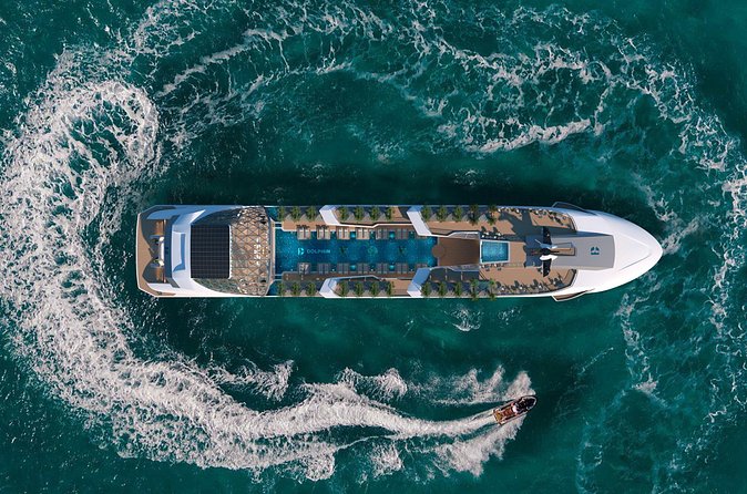 Dolphin Cruise – Experience Halong Bay in Timeless Luxury - Ti Top Island (14:45 to 16:00): Beach Break With Free Admission