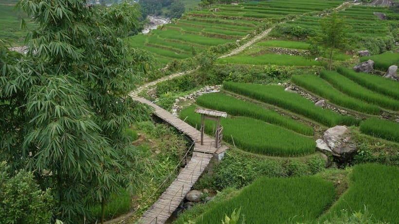 Easy Trek in Sapa mountain : Y Linh Ho - Lao Chai - Ta Van - Cat Cat road, hanging bridge on Muong Hoa, then bamboo and uphill views