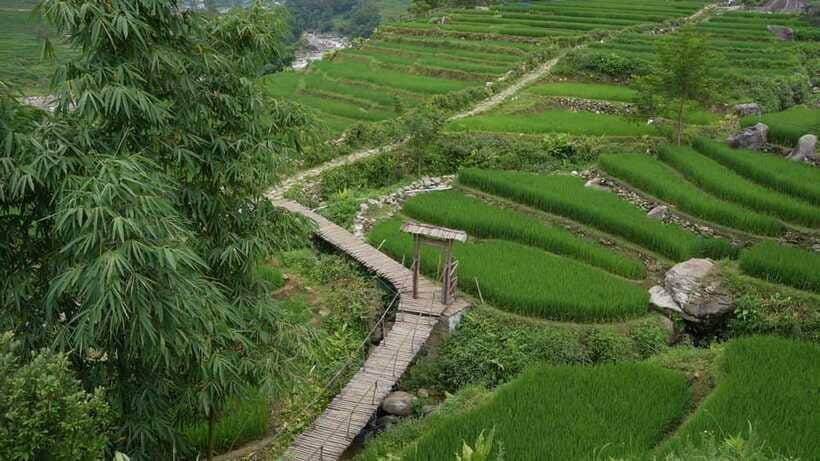 Easy Trek in Sapa mountain : Y Linh Ho - Lao Chai - Ta Van - Lao Chai (Black Hmong): walking, photos, and learning in context