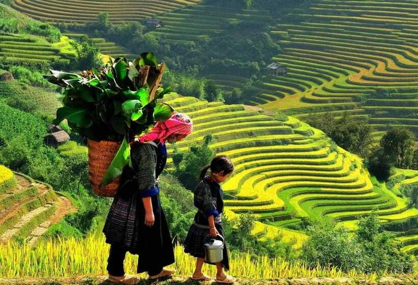 Easy Trek in Sapa mountain : Y Linh Ho - Lao Chai - Ta Van - Price and real value at $20, plus a massage discount afterward