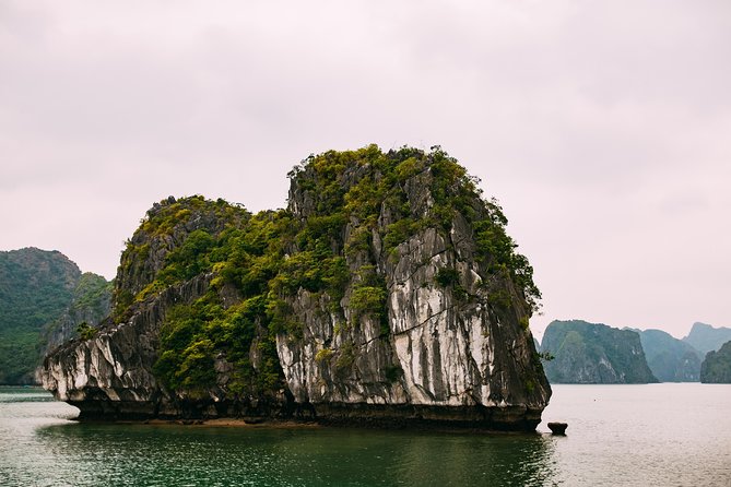 Excursion to Ha Long Bay with Titop Island and kayaking in Luon Cave - The guide and group size: why it feels organized