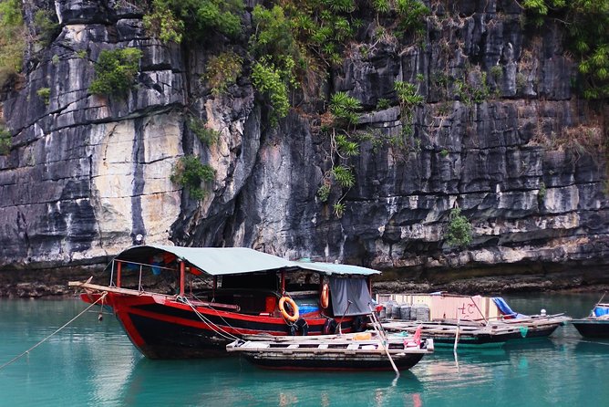 Excursion to Ha Long Bay with Titop Island and kayaking in Luon Cave - Booking fit: who this Ha Long day trip suits best