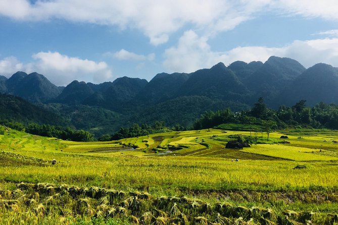 Explore Mai Chau - Pu Luong - Ninh Binh 4 Days / 3 Nights - Key Highlights You’ll Feel on This Route