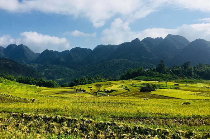Explore Mai Chau - Pu Luong - Ninh Binh 4 Days / 3 Nights - Day 4: Trang An Grottoes, Cycling to Hoa Lu, and the X-Century Back-Track