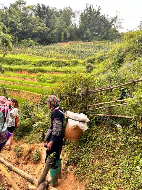 EXPLORE SAPA: 2D1N TREKKING & HMONG CULTURE WITH DINH - Day 2: bamboo forests, terraced fields, and Giang Ta Chai waterfall