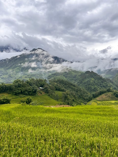 Explore Sapa by TrekkingAdventures, Mountain,Rice fields - Lao Chai lunch and the Black Hmong house stop you will remember