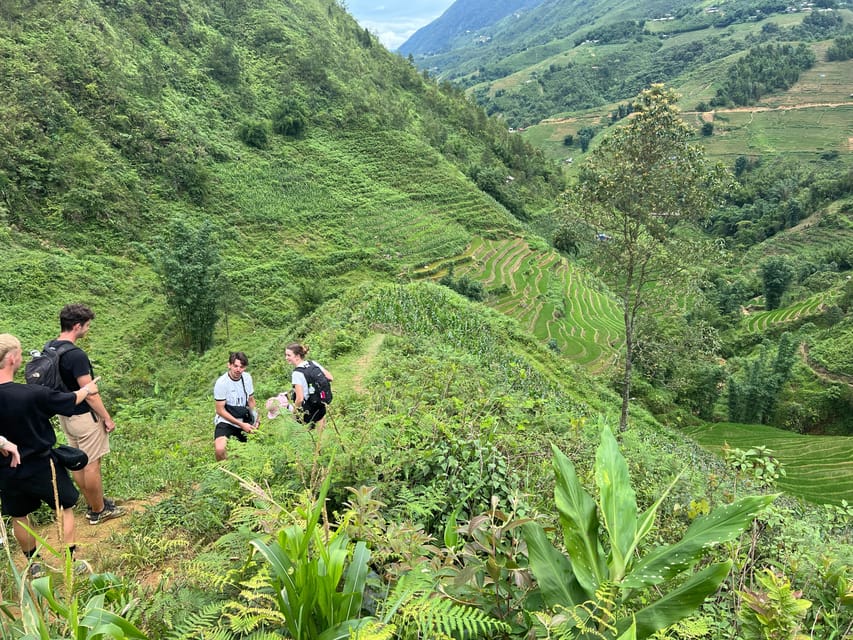 Explore Sapa by TrekkingAdventures, Mountain,Rice fields - The $23 value: what’s included, what’s not, and why it matters
