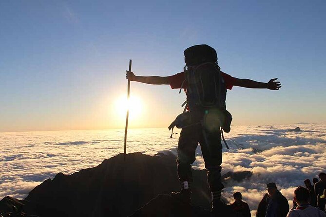 Fansipan Mount Trekking 1 Day - What $89 Gets You in Real Terms (Not Just a Checklist)