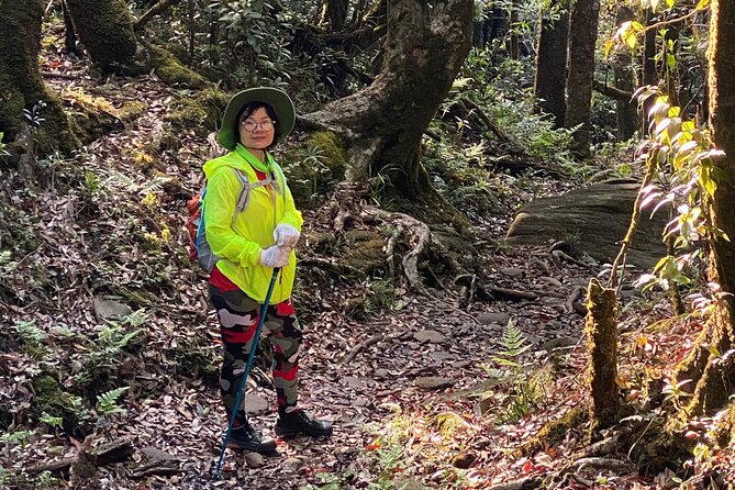 Fansipan Summit Challenge - The descent back through forest and alpine meadows, with a more relaxed pace