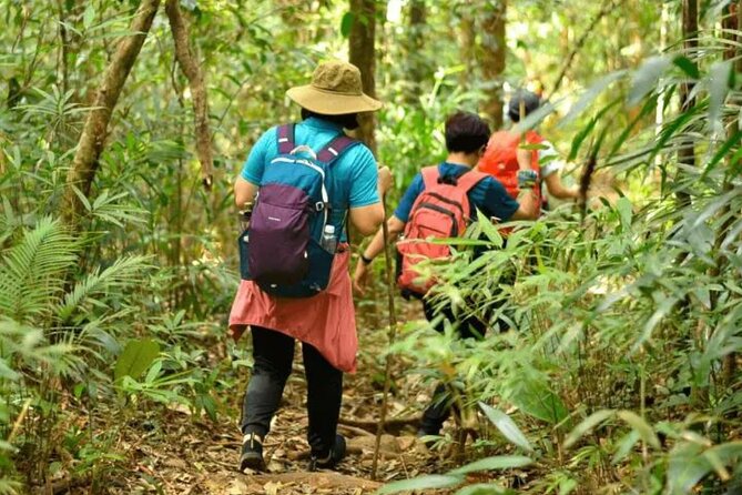 Fansipan Trek One Day Tour – Roof of Indochina - Who this Fansipan trek suits best, and who should rethink it