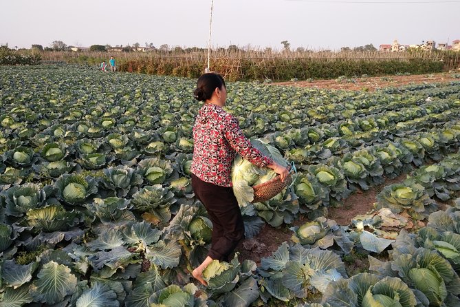Farm tour & Home cooking class with local family in Hanoi - Key highlights at a glance