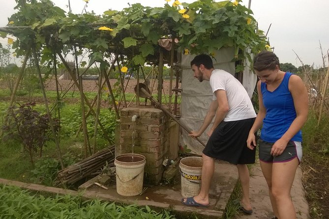 Farm tour & Home cooking class with local family in Hanoi - Why This Hanoi Farm Tour Feels Like a Real Household Visit