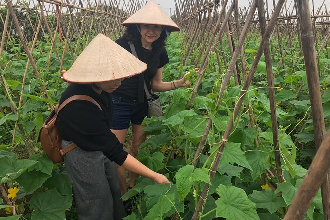 Farm tour & Home cooking class with local family in Hanoi - Meeting Point, Timing, and Getting There on Your Own