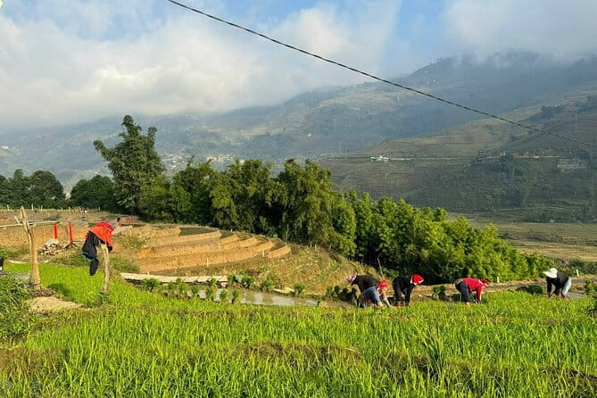 From Hà Nội ; Mu Cang Chai 3 Days 2 Nights By Car and Trekking - Mu Cang Chai: why the 3-day mix works