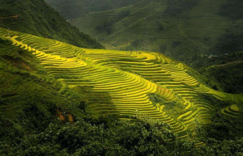 From Hanoi: 1-day Sapa Trekking Tour With Overnight Bus - Night 0: Hanoi to Sapa on a Sleeper Bus (and the Early-Morning Payoff)