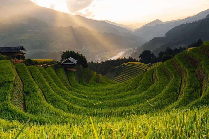 From Hanoi: 1-day Sapa Trekking Tour With Overnight Bus - Trek Morning: Y Linh Ho to Lao Chai Through Muong Hoa Valley