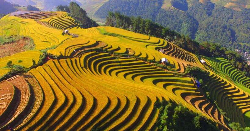 From Hanoi: 1-day Sapa Trekking Tour With Overnight Bus - Price and Value: How $52 Fits a One-Day Sapa Plan