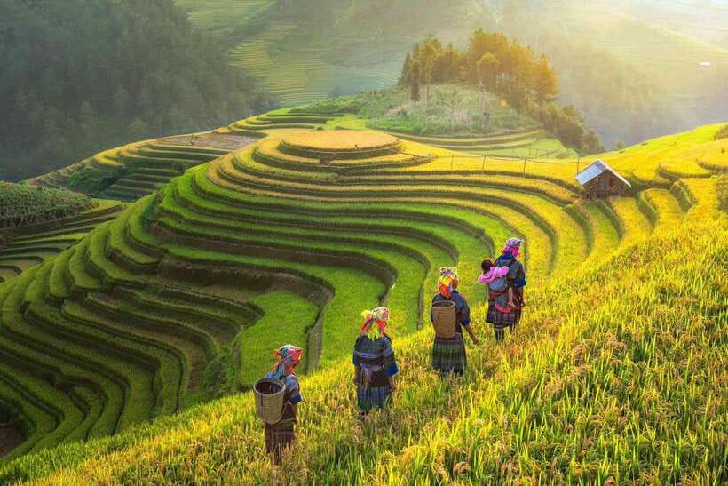 From Hanoi: 1-day Sapa Trekking Tour With Overnight Bus - What to Pack for Fog, Rain, and Mud in Sapa