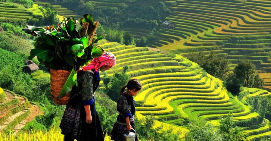 From Hanoi: 2-Day 2-Night Sapa Tour by Overnight Train - Riding the Hanoi to Lao Cai overnight train like it matters